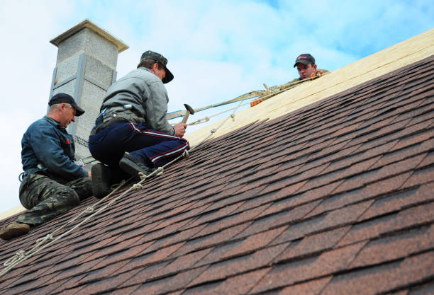 Best Roof Maintenance Services  in Lovell, WY